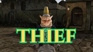Morrowind Basics - Thief Build