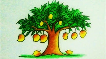 mango tree drawing l how to draw a mango tree l mango tree drawing easy l how to draw mango tree