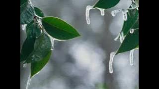 Enya - Amid The Falling Snow