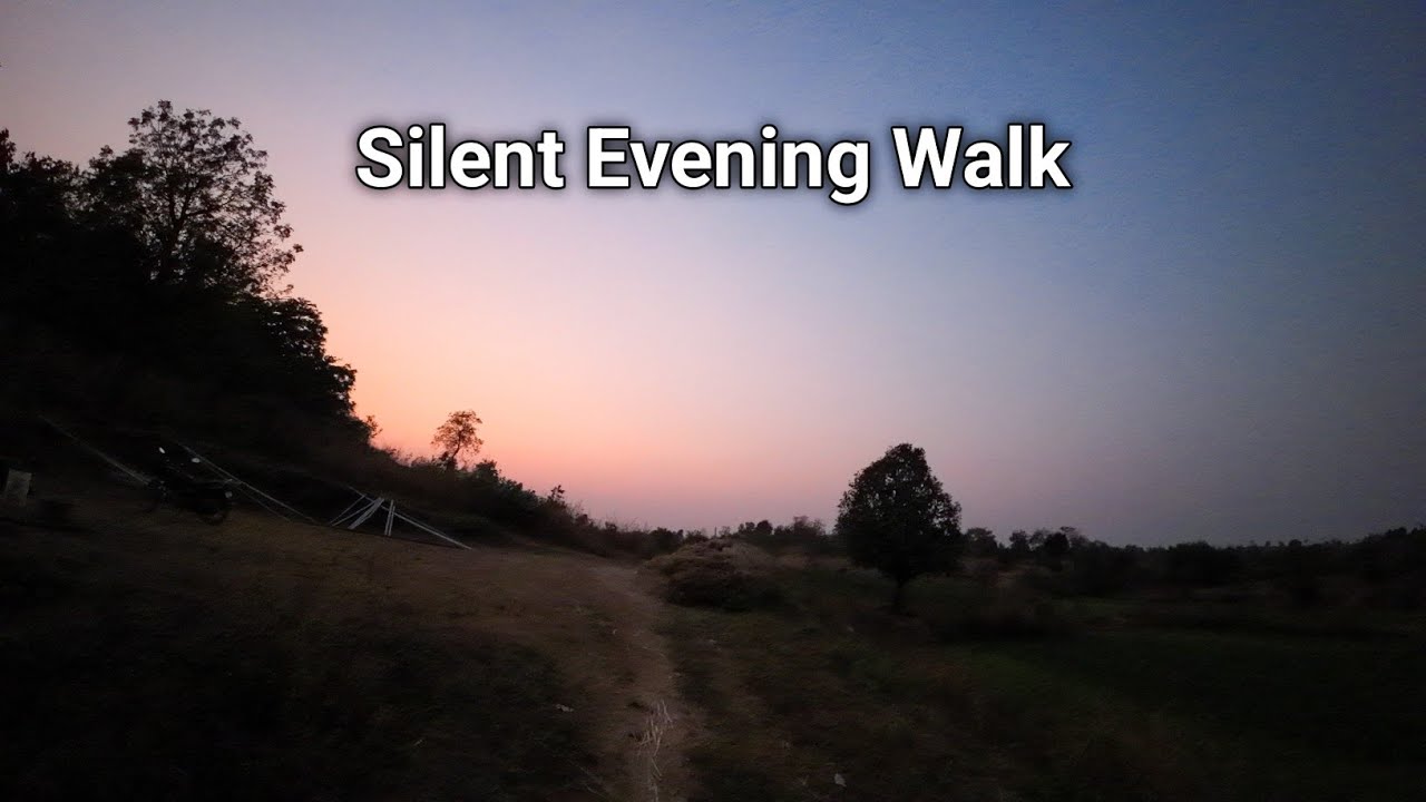 Silent Evening Walk | Nature Sounds | Peaceful Village POV 👣