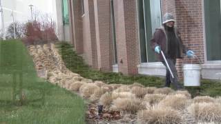 Landscape Job Tasks - Trash Pick-up