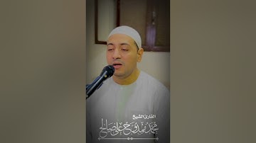 قالت الأعراب آمنا.........من سورة الحجرات