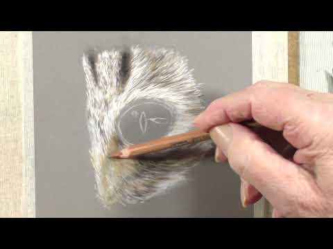 How to Draw a Cat's Eye and Fur | Pastel Pencil Tutorial