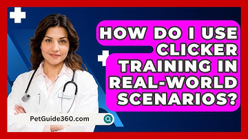 How Do I Use Clicker Training In Real-world Scenarios? - PetGuide360.com