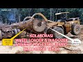 Kolaborasi Wheel Loader & Buldozer memuat log extra jumbo ke Logging Truck