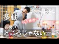 【止まれない】お祝いさせて…/妹の初節句