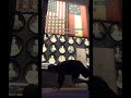 5/26/26 DAY 2020