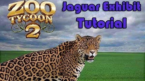 Zoo Tycoon 2 Tutorial - Simple Jaguar Exhibit