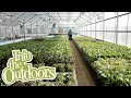 Aquaculture Insights: Fish, Plants, and Sustainable Farming
