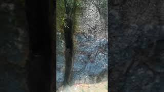 Batu Belah di Pulau Besar Melaka