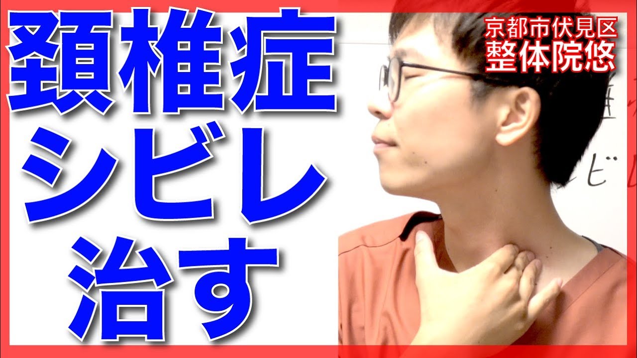 Clinical Manual Therapy DVD 腰痛編と頸椎編 脊椎エコーのすべて―頸肩腕部・腰殿部痛治療のために