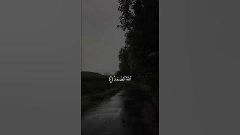 سورة الاخلاص - القارئ رعد الكردي