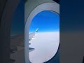23 ноября 2024 г.