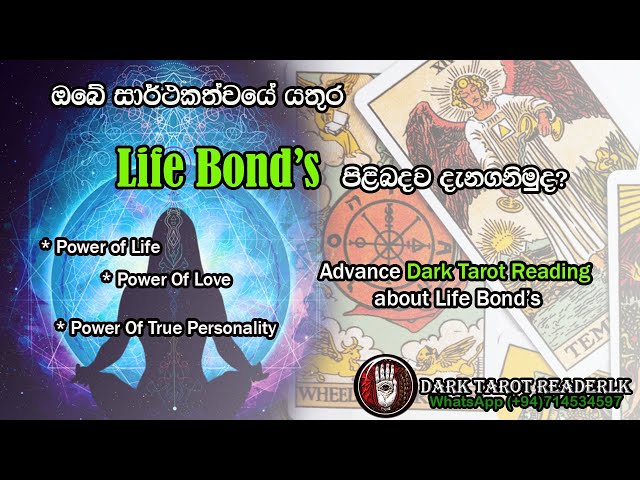 ඔබේ සාර්ථකත්වයේ යතුර පිළිබදව දැනගනිමුද?Life Bond'sපිළිබද Dark Tarot  කියවීමක්|Sinhala|#tarotreading class=