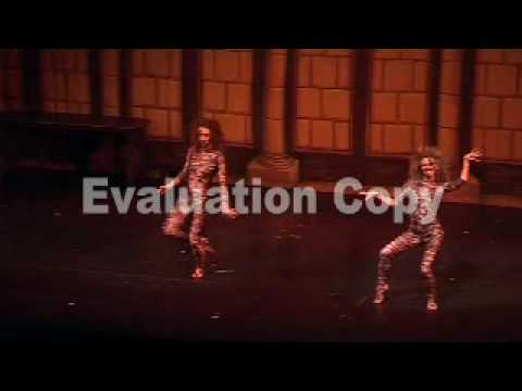 The Stepmother's Cats - Cinderella 2009