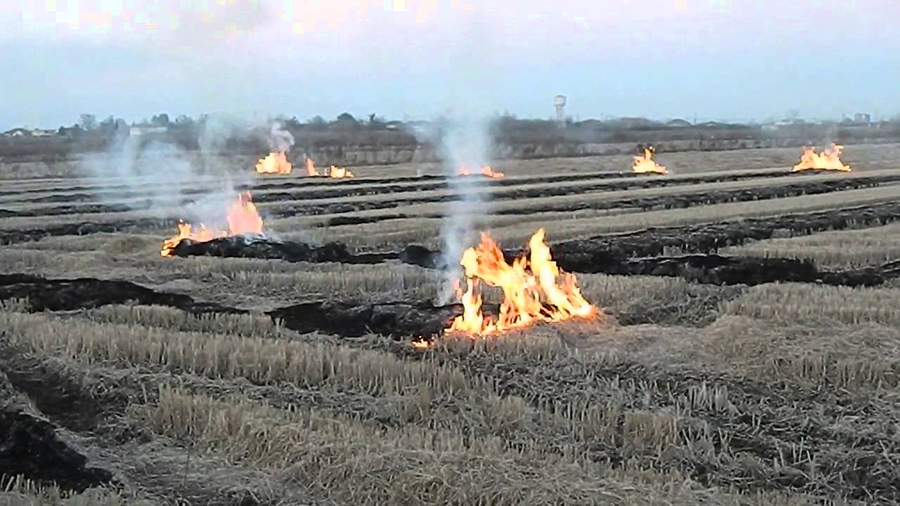 WEATHER REPORT 19 Burning crops YouTube