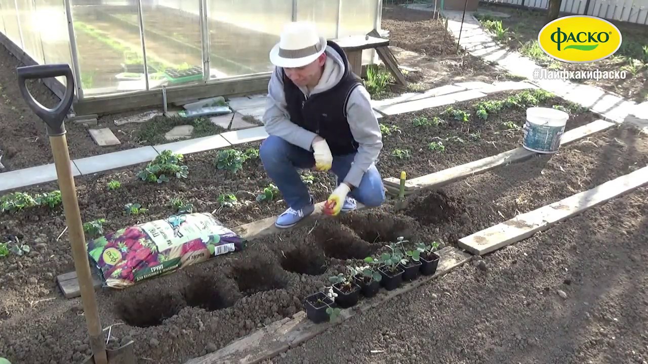 Купить грунт в мешках в интернет-магазине Hoga - YouTube