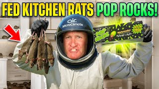 $5 Million Dollar Home’s Kitchen FULL of Rats! 🐀  Twin Home Experts