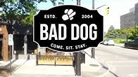 Bad Dog Sarnia