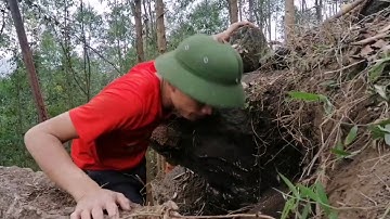 Cận cảnh hai anh em bắt tổ ong mật trong hang đá cực khủng :phần 1