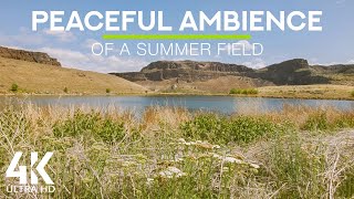 8 UUR lang rustgevende zomerse veldsfeer - zacht getjilp van vogels, gezoem van bijen en geluiden van cicaden