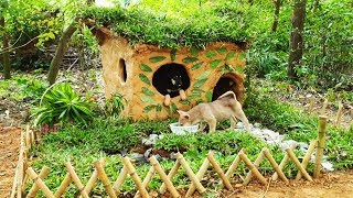 Building technology: The Construction Of A Mud House For Wandering Dogs #2