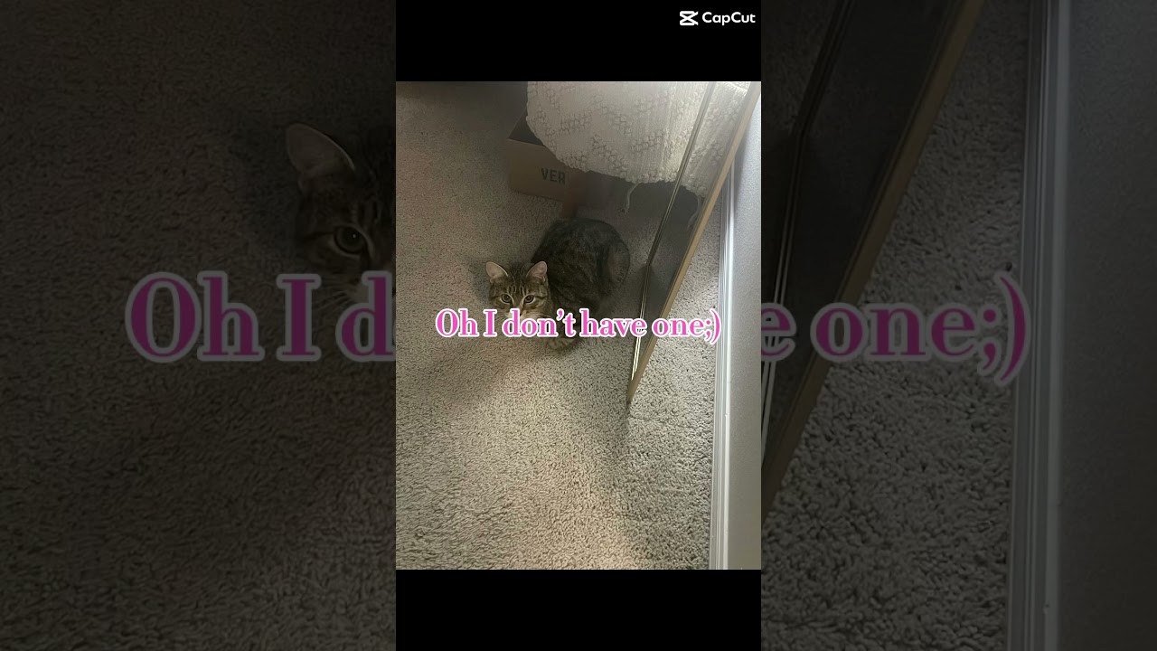 Totally not Riko Suminoe