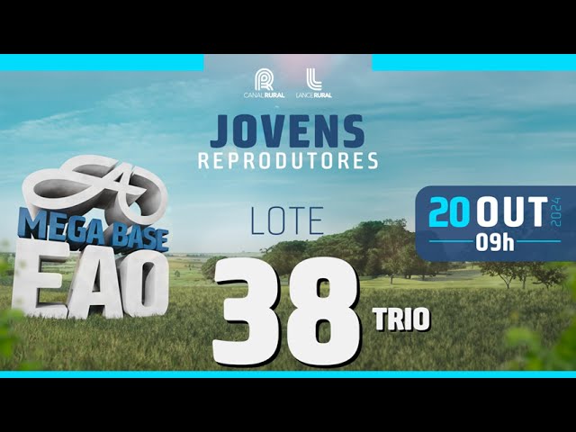 LOTE 38