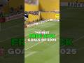 The Most INSANE Free Kick Goals Of 2025 The Most INSANE Free Kick Goals Of 2025