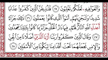 عكاشة كميني سورة فصلت