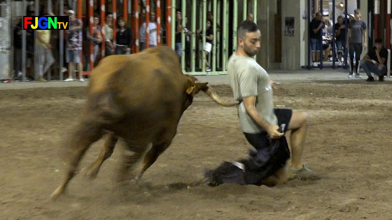 Vaquillas German Vidal - Nules (Castellón) 13-10-2023 Bous Al Carrer [Toros FJGNtv]