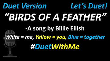 Billie Eilish - BIRDS OF A FEATHER (Duet Version) | Cover | Full Version