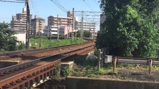 【レア‼︎】名鉄5300系5308f 普通河和行き 名和カーブ通過