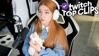 Топ клипы с Twitch | УХОД СТРОГО ИЗ СЕМЬИ, Конфликт Братишкина и Дани Кашина (закончен)