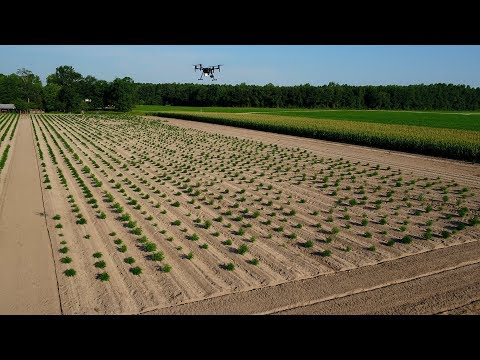 How Drones are Elevating Intelligence in Agriculture