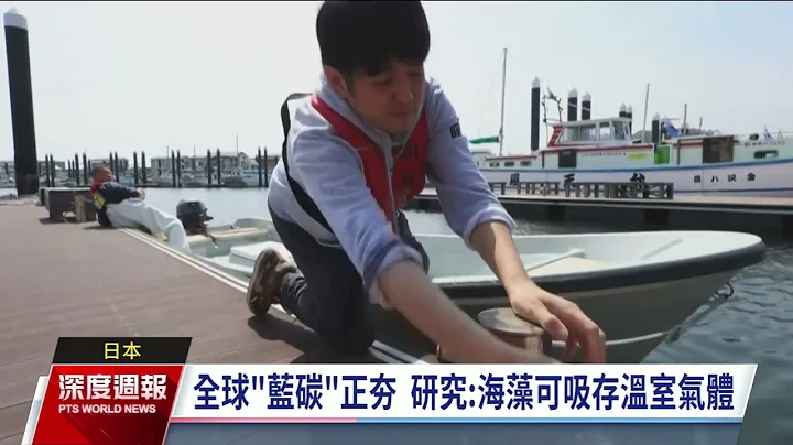 日本开发"蓝碳"  新创携手渔民种海藻 - 天天要闻