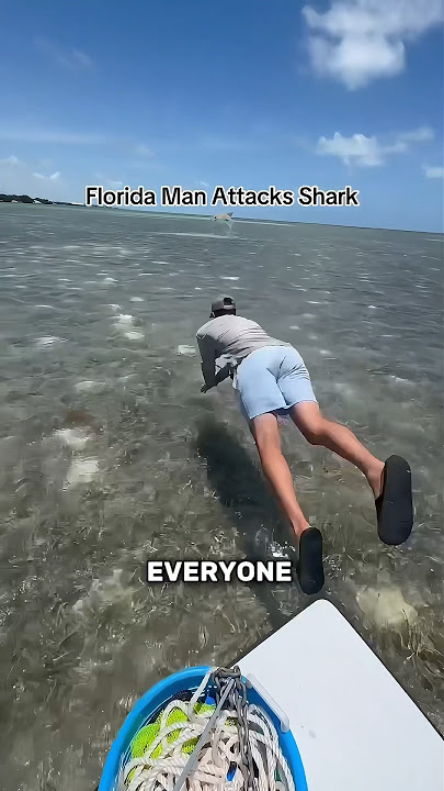 Catching A Shark With Bare Hand