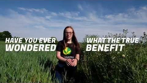 Harvesting combine data to tackle field-edge yield declines