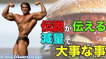 تحميل シュワちゃん筋トレ Mp4 Mp3 تحميل シュワちゃん筋トレ Mp4 Mp3