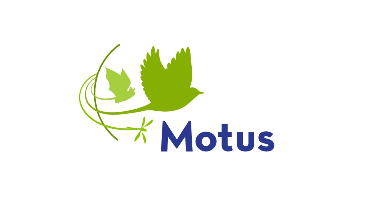 How to tell when a Lotek tag is activated using a radio dongle and a laptop