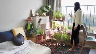видео: Осенняя домашняя рутина с уютными растениями 🍂 Наслаждайтесь вкусами и красотой осени 🍁Рецепты осени картинка: Осенняя домашняя рутина с уютными растениями 🍂 Наслаждайтесь вкусами и красотой осени 🍁Рецепты осени