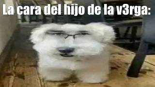 Shitpost Compilation V37