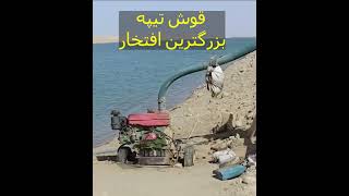 یک راز مخفی و تکان دهنده از کانال قوش تیپه  افغانستان خبرجدید قوشتیپه