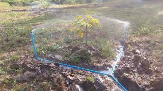 การวางระบบน้ำสวนทุเรียน #ระบบน้ำสวนทุเรียน #แนวการวางท่อน้ำสวนทุเรียน