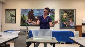 Point and Non-point Source Pollution