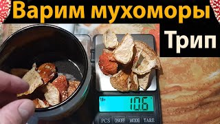 Трип. Как приготовить мухоморы. Часть 2.