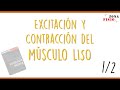 FISIOLOGÍA: EXCITACIÓN Y CONTRACCIÓN DEL MÚSCULO LISO | ENTENDIENDO GUYTON CAPÍTULO 8 | PARTE 1/2