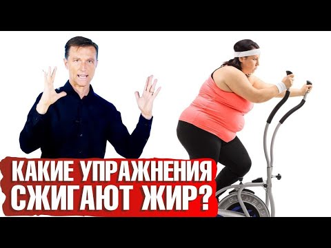 Какие упражнения сжигают жир? Главный секрет похудения 🏋🏻‍♂️