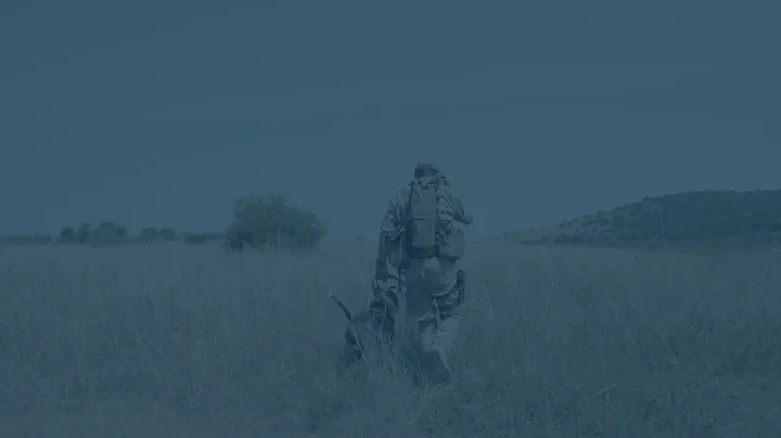 PitTrack Bravecto Promo Video