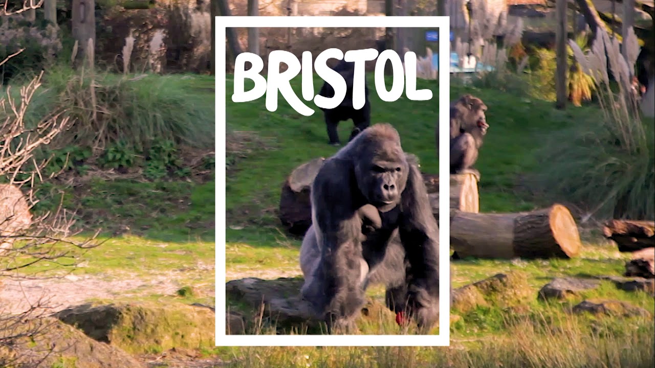 Visit Bristol: Guide to 2019